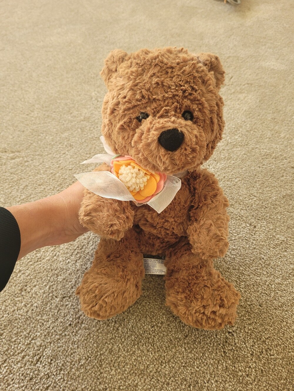 Isabella Brown Teddy Bear With Flowers